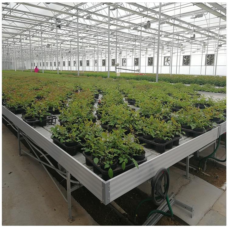 不是什么植物都適用于潮汐苗床的？